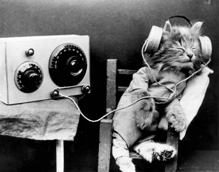 1926 black and white image of a cat listening to a radio trough a headset. It appears to be sleeping and is comfortable in a chair