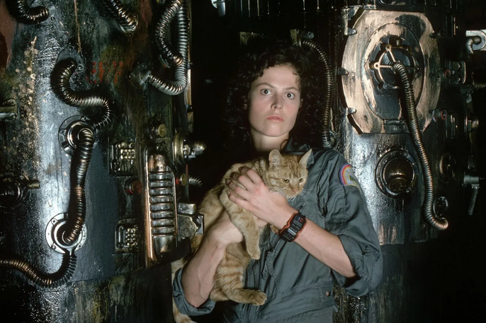 Ripley from the movie 'Alien', she wears a teal jumpsuit and holds a cat in her hands. She has a very stern look on her face. The background appears to be some osrt of machinery room, sorry I am not very good with those but there are a lot of valves n' shit